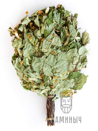 Веник Липовый — Каминыч